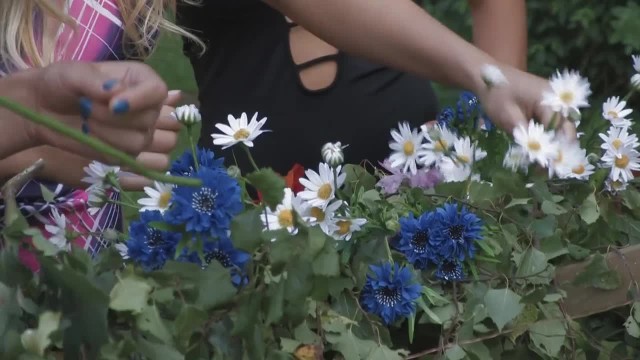 Секс на зеленой траве - #1